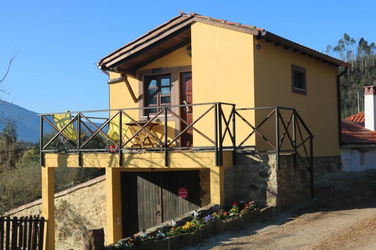 Bed and Breakfast Palheiro Do Malgas Lousã Exterior foto
